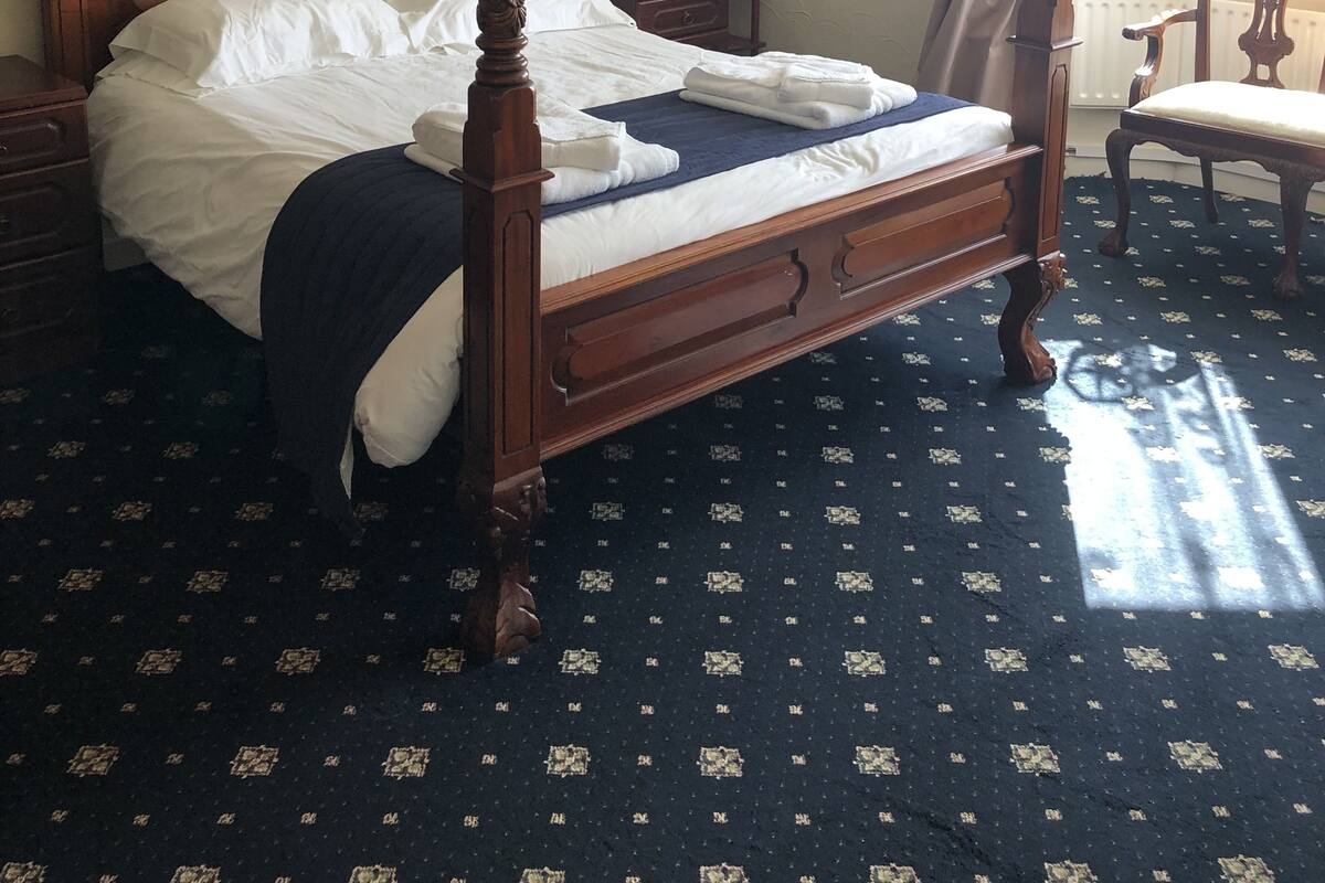 A four-poster bed with a lace canopy, a chandelier, and a patterned carpet.