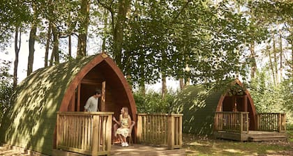 Pinewood Camping Pods - At Port Lympne Reserve