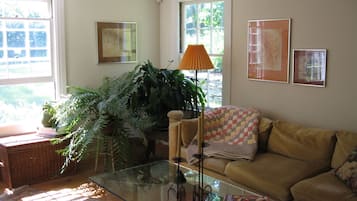 TV, fireplace, books