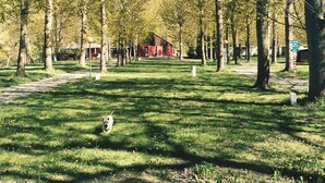 Uklassifisert bilde, 3 av 28, knapp