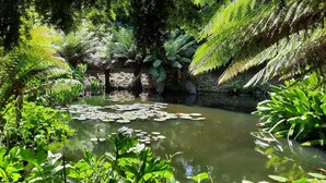 Ein friedlicher Teich, umgeben von üppigem Grün und Farne.