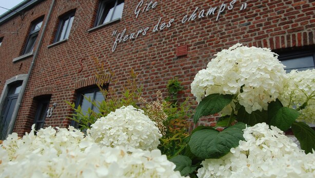 Un bâtiment en briques sur lequel on peut lire l’inscription : « Gîte Fleurs des champs ».