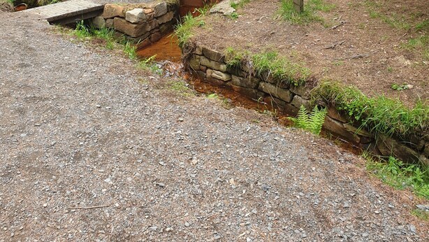 A stone bench with a plaque, a small stream, and a signpost in a wooded area. - Apartment / Monteurzimmer (Seesen)