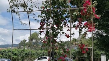 Jardim