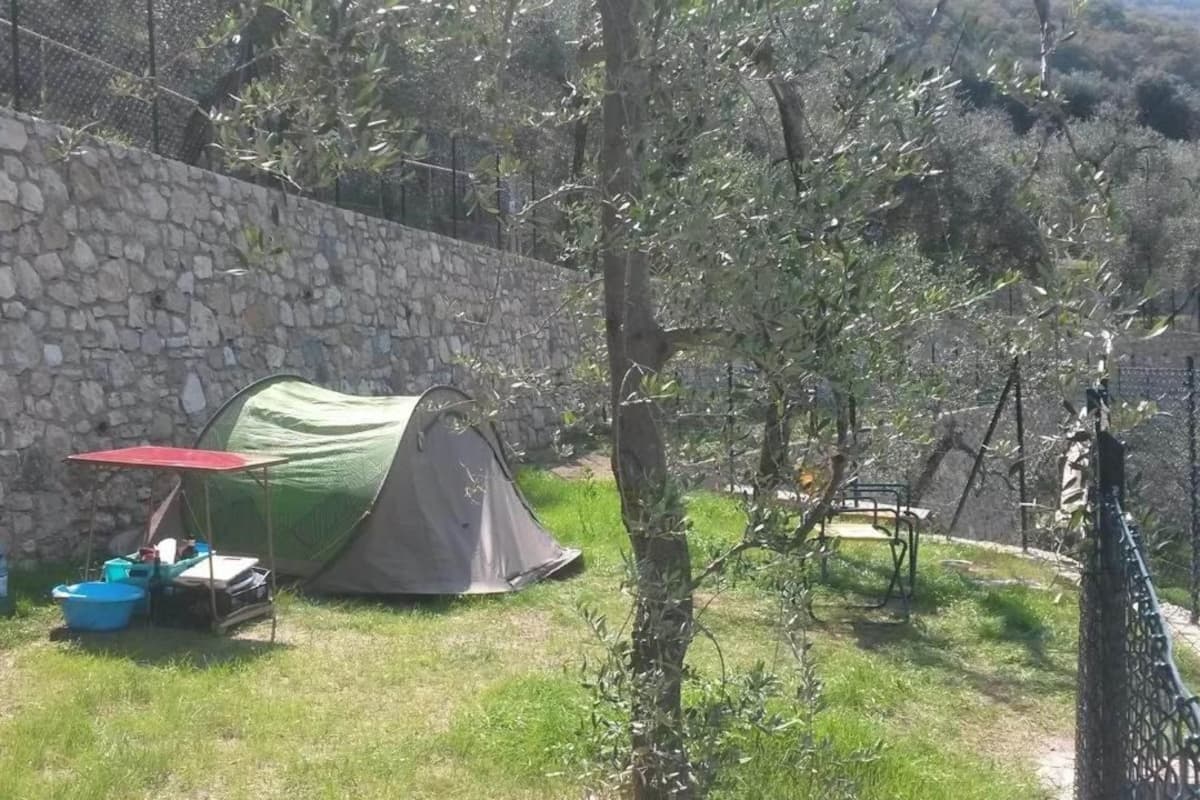 A tent set up on a grassy area with a stone wall in the background.