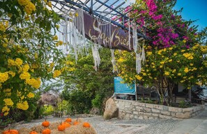 A garden with yellow flowers, a wooden sign, and a stone wall. - Sao Bien Cam Ranh (Nam Cam Ranh)