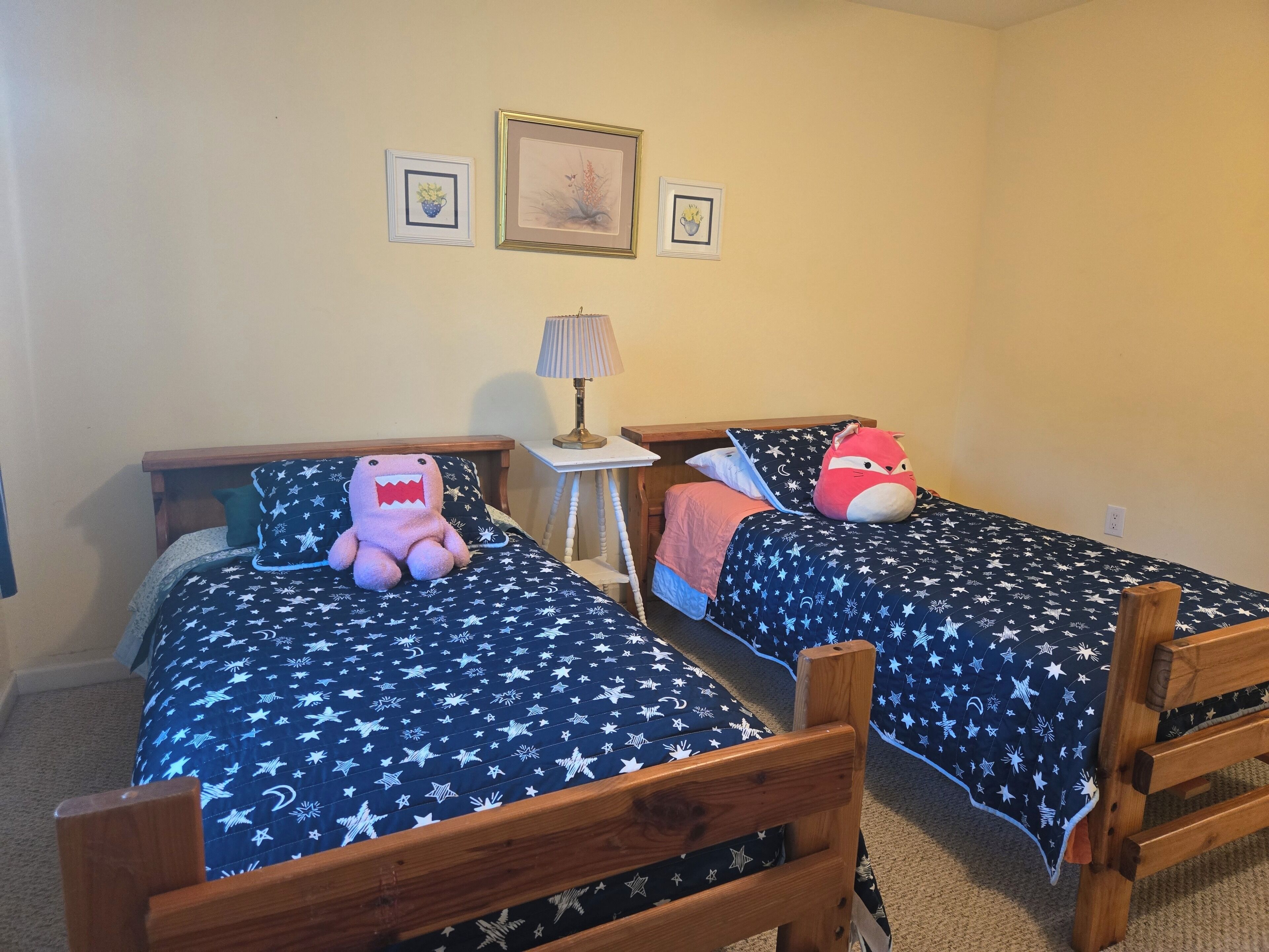 3 bedrooms, desk, iron/ironing board, WiFi