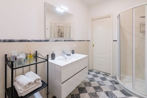 Shower, hair dryer, bidet, towels