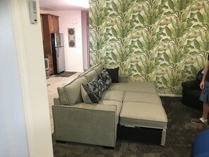 Fernseher, Bücher