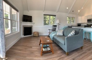 Smart TV, fireplace, toys, books
