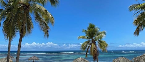 Playa en los alrededores