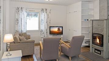 电视、DVD 播放器