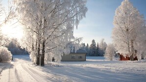 Ett snötäckt landskap med ett hus och träd.