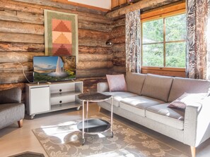 Televisio, DVD-soitin