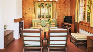 Fernseher, Kamin, DVD-Player
