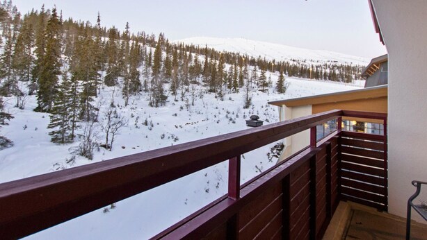 Un balcon donnant sur un paysage enneigé et une forêt.
