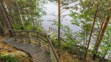 A wooden boardwalk leading to a lake surrounded by trees.