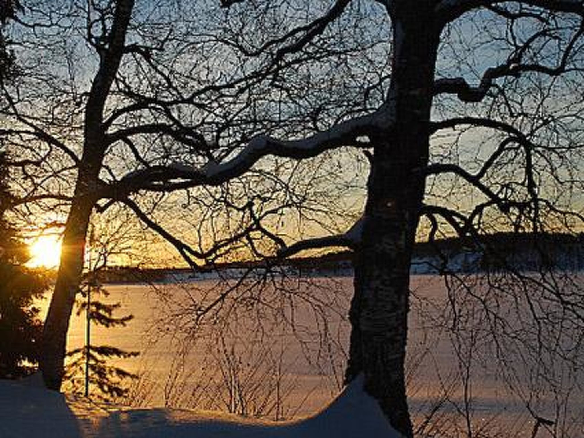 A winter scene with bare trees and a sunset.