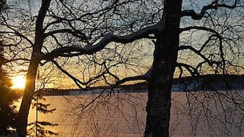 A winter scene with bare trees and a sunset.