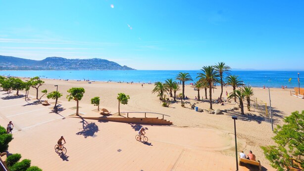 Ein Strand mit gepflastertem Weg, Palmen und blauem Himmel.
