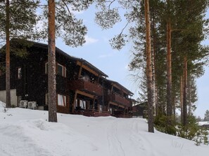 Ulkopuoli