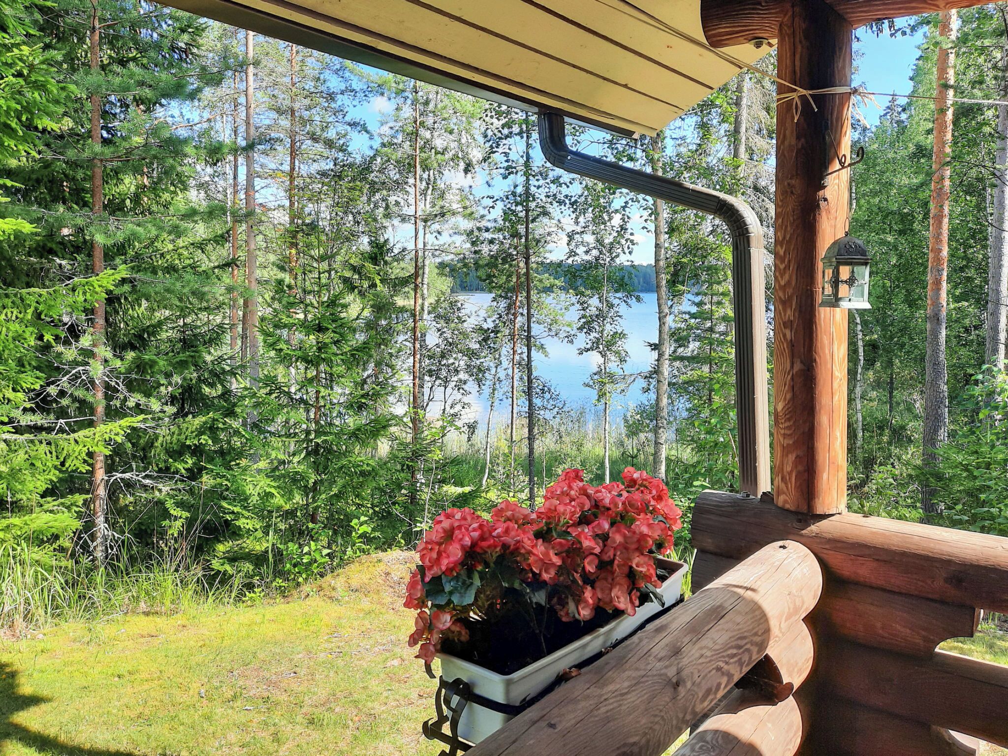 En træbænk med en plantekasse med røde blomster, med udsigt over en skov og en sø.