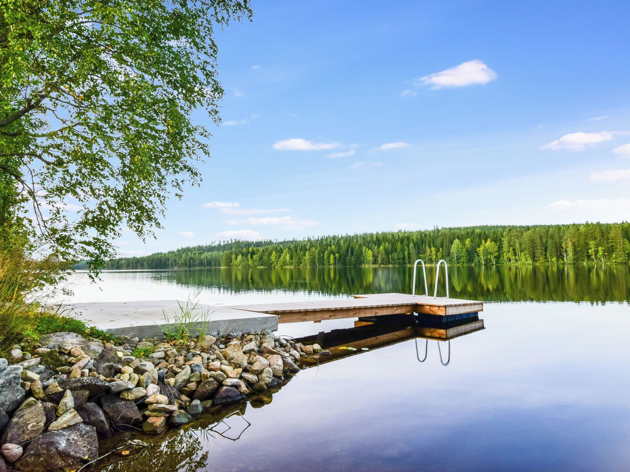 A calm lake with a wooden dock extending into the water, surrounded by a forest.