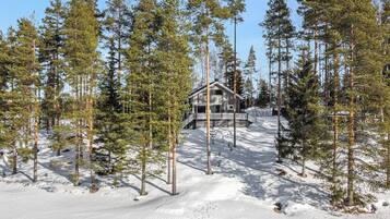A cabin surrounded by tall pine trees in a snowy landscape.