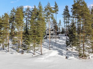 Une cabane entourée de grands pins dans un paysage enneigé.