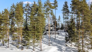 Une cabane entourée de grands pins dans un paysage enneigé.
