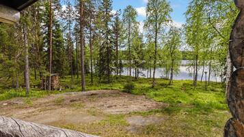 Metsäinen alue, jota pitkin kulkee sorapolkua vesistöön, ja aluetta ympäröivät korkeat puut.