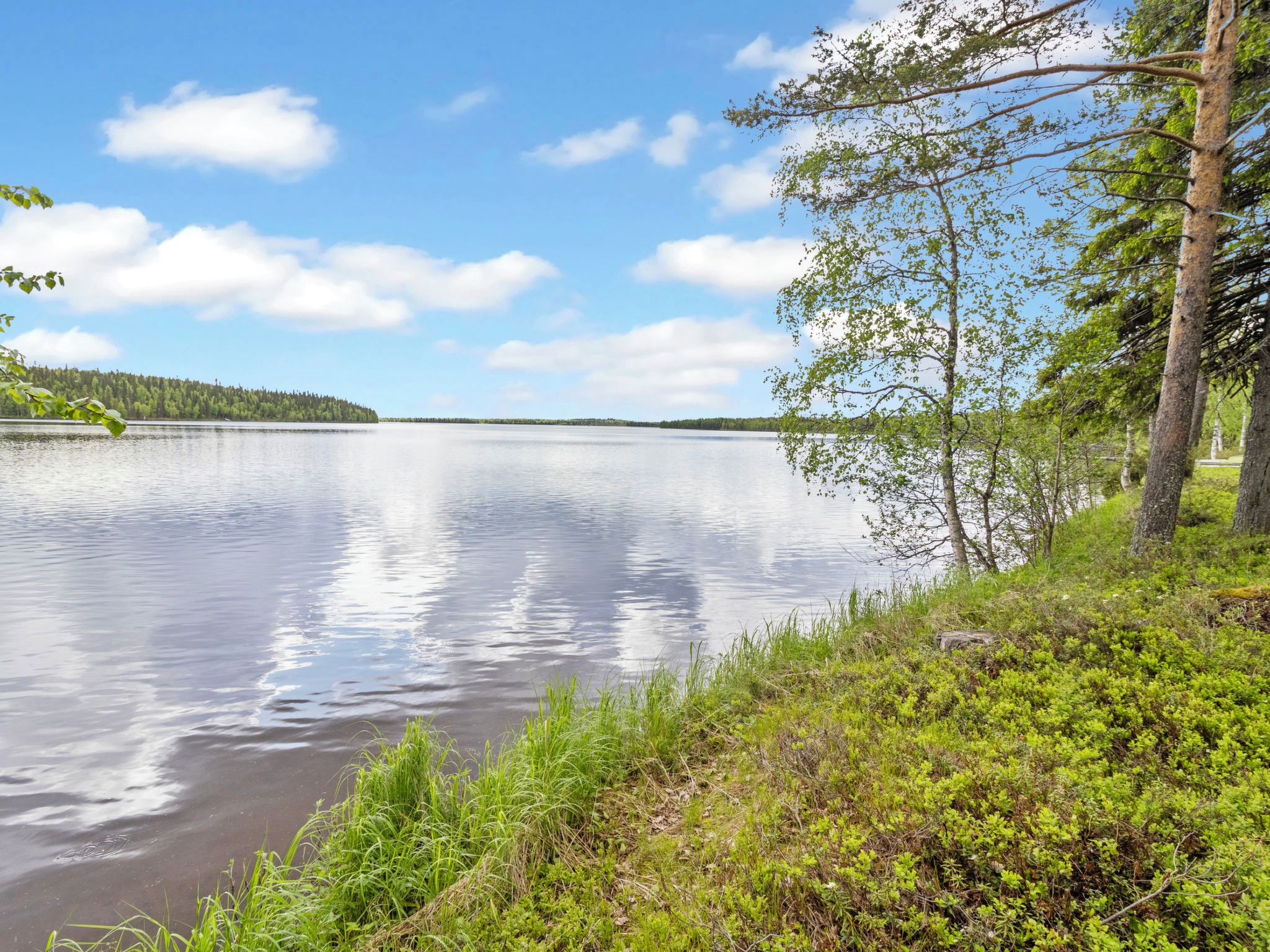 Un lac paisible, avec une île boisée qui se dessine à l'horizon, entourée de verdure et d'arbres.