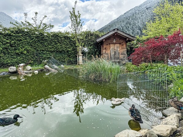 Property grounds - Helmreich by Interhome (Sankt Gallenkirch)