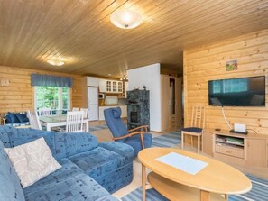 TV, fireplace, DVD player