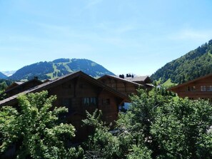 Ulkopuoli