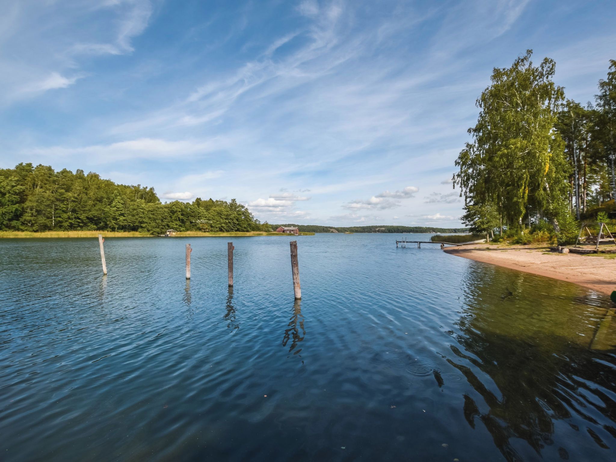 Un lago tranquillo con pali di legno nell'acqua, circondato da alberi e una costa lontana.