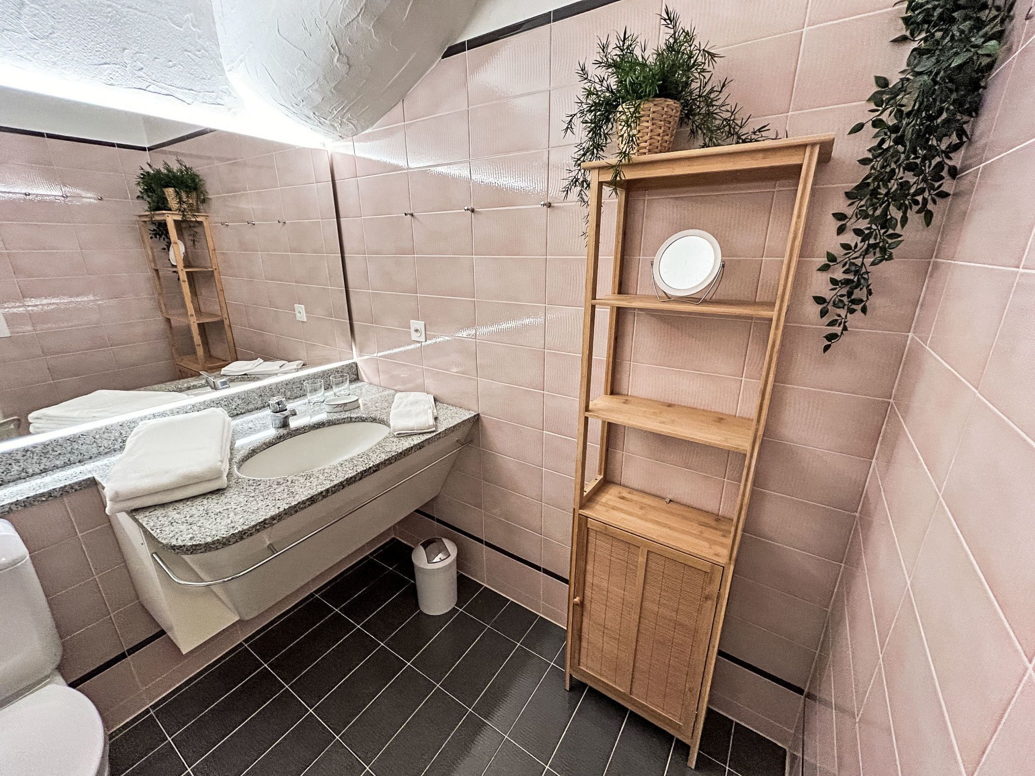 Une salle de bain moderne avec un lavabo en granit, un meuble-lavabo en bois, un miroir et une petite étagère ornée d’une plante.