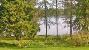 Une vue d’une zone herbeuse, avec des arbres en arrière-plan et une terrasse en bois au premier plan.