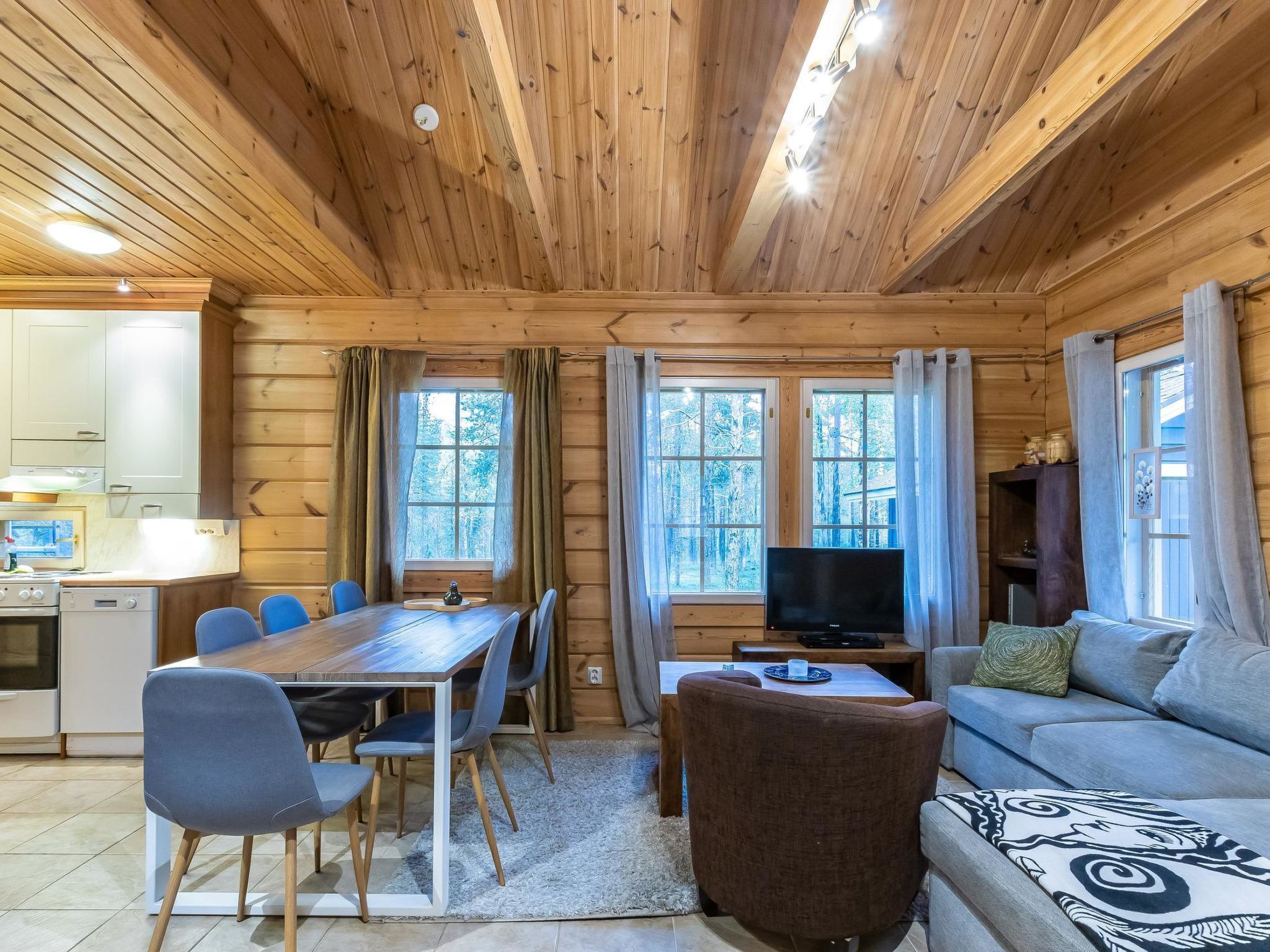 電視、DVD 播放機