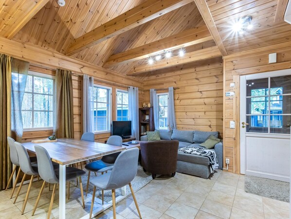 Televisio, DVD-soitin