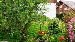 Un jardín con diversas flores y una planta en maceta sobre una superficie pavimentada.