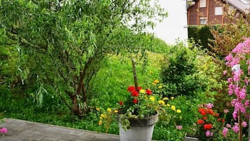 Overnatningsstedets område