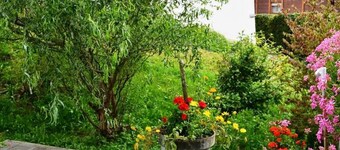 Spillgerten-Blick by Interhome