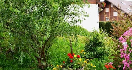 Spillgerten-Blick by Interhome