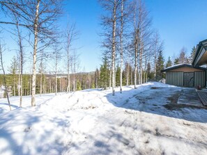 A snowy landscape with a wooden cabin and birch trees.