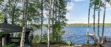 A lakeside cabin with a dock, surrounded by birch trees and a clear view of the lake.