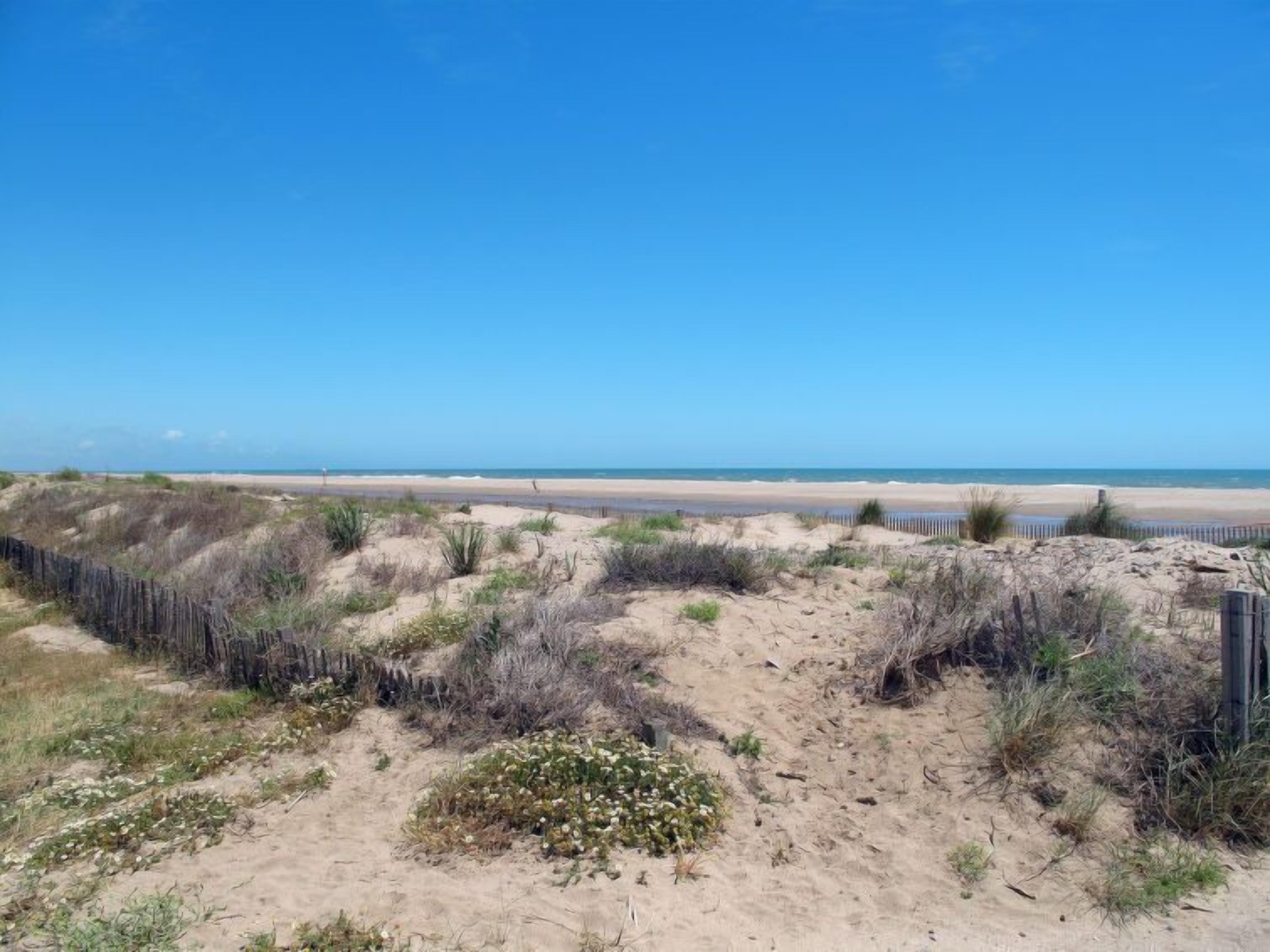 A beach with sand dunes and a wooden fence.