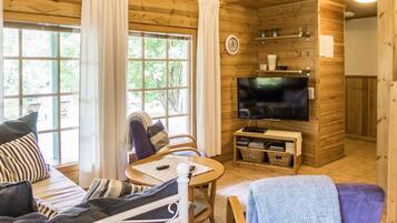 Televisio, DVD-soitin