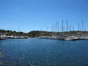 Marina