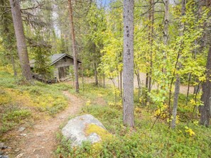 Escape to a serene forest retreat, surrounded by dense trees and a tranquil atmosphere.